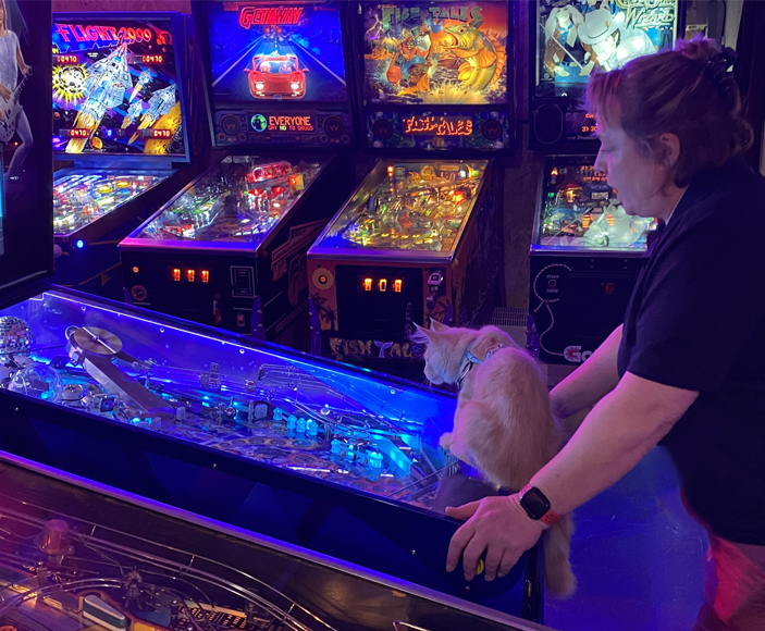 Pinball Nights - IS THAT A CAT?